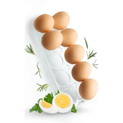 Afbeelding van Universele eierhouder 2252 voor koelkast, koel /vriescombinatie, inbouwkoelkast, maximaal 10 eieren, afmetingen (h x b d): 2,5 cm. 23,5 9,5 cm (controleer de afmeting!)