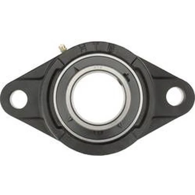 Afbeelding van HTB UCFL 208 Flenslager Grijs/grauw gietijzer Boordiameter 40 mm Gatafstand 144