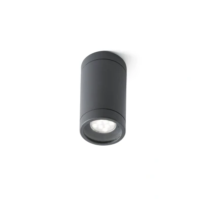 Afbeelding van Faro Lighting Olot 1 Light Outdoor Opbouw Plafond licht Donkergrijs IP44, GU10