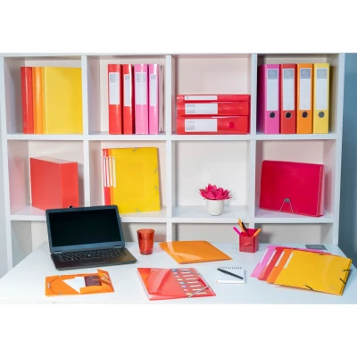 Afbeelding van Ringmap PP IDERAMA A4+ 4R 30mm roze per 10