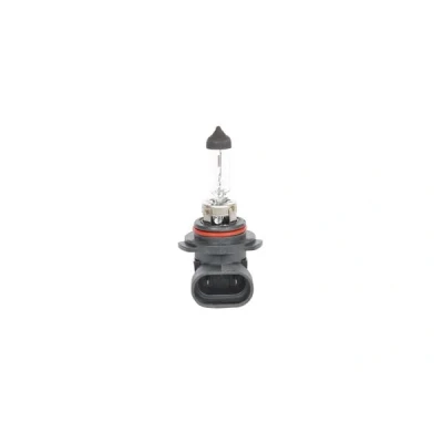 Afbeelding van Gloeilamp BOSCH 1 987 301 063
