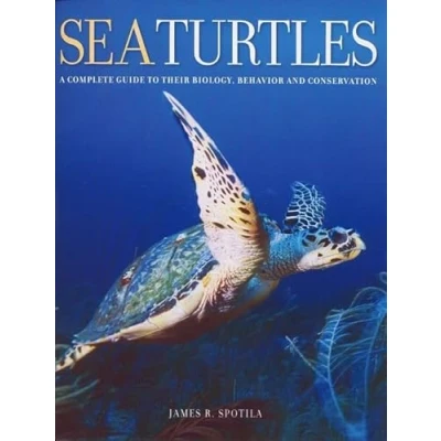Afbeelding van Sea Turtles: A Complete Guide to Their Biology, Behavior, and Conservation