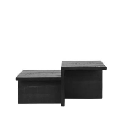 Afbeelding van LABEL51 Skip salontafel mangohout zwart 90x50 cm Hout