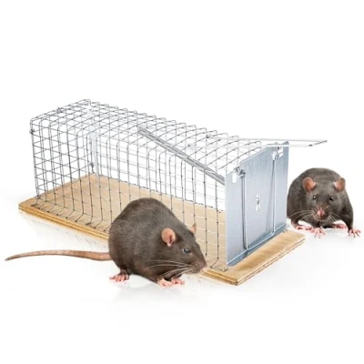 Afbeelding van Swissinno Rat Classic Niet dodelijke val 1 stuk(s)