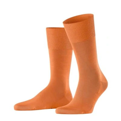 Afbeelding van FALKE Sokken ClimaWool