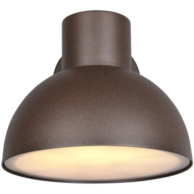 Afbeelding van TRIO ELBE Wandlamp Roestkleur excl. 1x E27 4,9 W Wandmontage Buitenverlichting IP44