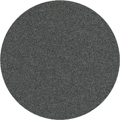Afbeelding van Bosch Accessoires 10 Schuurbladen 125 F355, Best for Coatings+Composites , K80 2608606756