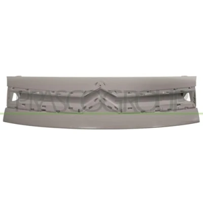 Afbeelding van Radiateurgrille PRASCO CI9182011