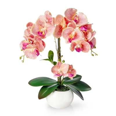 Afbeelding van PASCH® kunstbloemen in pot, 40 cm, als echt kunstorchideeën pot orchidee