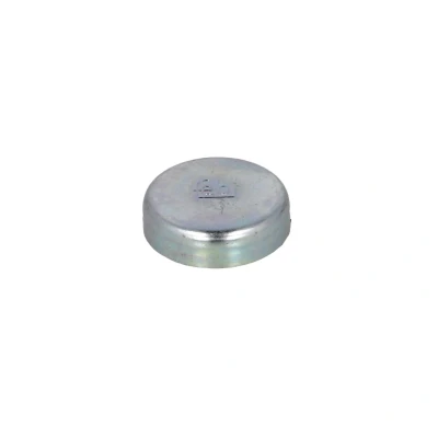 Afbeelding van Febi Bilstein Vriesstop/vorstplug 02543