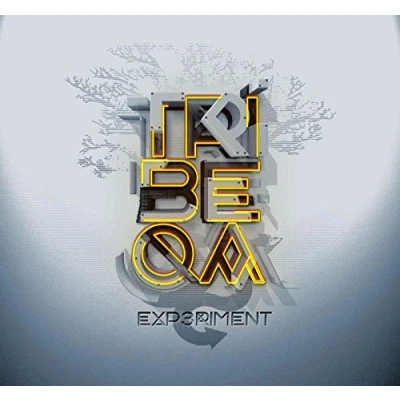 Afbeelding van Tribeqa Experiment Remixes (LP)