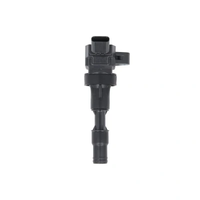 Afbeelding van Delphi Diesel Bobine GN11002 12B1