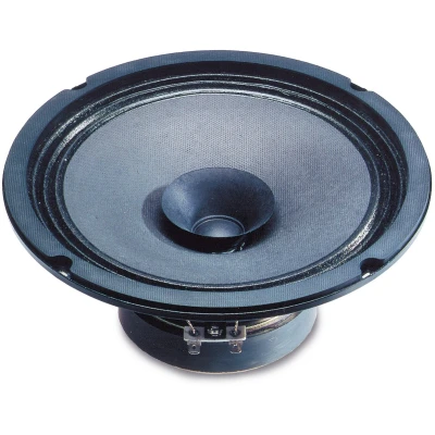 Afbeelding van Visaton BG 20 Full range Woofer