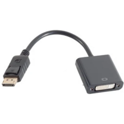 Afbeelding van shiverpeaks BS14 05010 video kabel adapter DisplayPort DVI Zwart