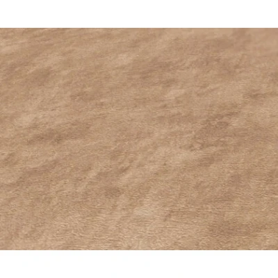 Afbeelding van AS Creation Terra 38922 9 389229 Beige / Bruin