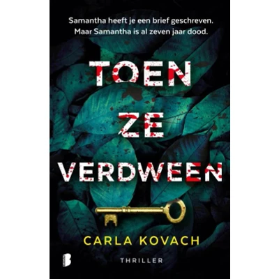 Afbeelding van Toen ze verdween (Paperback)