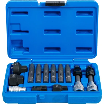 Afbeelding van BGS Dynamo bit /dopsleutelset 1/2&quot; 13 delig
