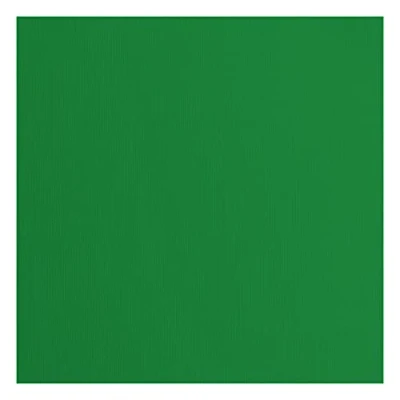 Afbeelding van Florence Cardstock Textured Gekleurde kaarten maken benodigdheden 30,5 x cm groen 20 vellen gekleurd papier voor scrapbooking, maken, stansen en papierambachten 216 g/m²