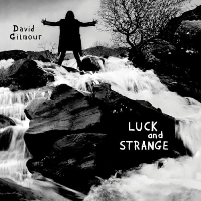 Afbeelding van David Gilmour Luck and Strange (CD)