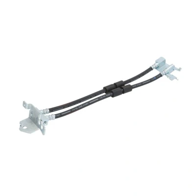 Afbeelding van Delphi Diesel Remslang LH7280