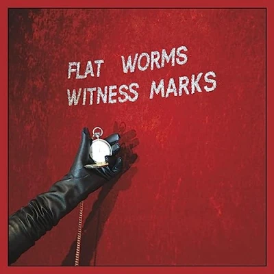 Afbeelding van Witness Marks
