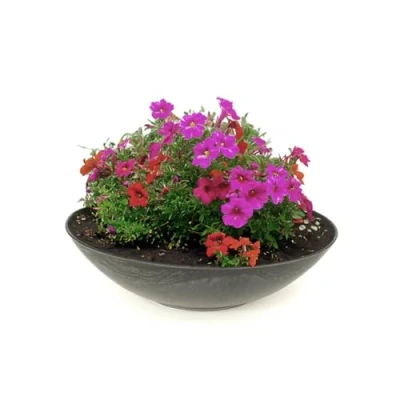 Afbeelding van matches21 weerbestendige plantenschaal voor buiten grote decoratieve schaal in zwart gemarmerd als bloemenschaal platte tuinschaal 35 cm bloemen, bonsai of begraafplaats grafsieraden