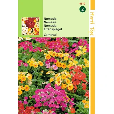 Afbeelding van 2 stuks Hortitops Nemesia Strumosa Carnaval Gem.