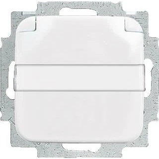 Afbeelding van Abb busch jaeger tekstwandcontactdoos ra kv kd centraalplaat inbouw r alpin 2cka002013a5318
