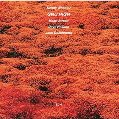 Afbeelding van Kenny Wheeler Gnu High (CD)