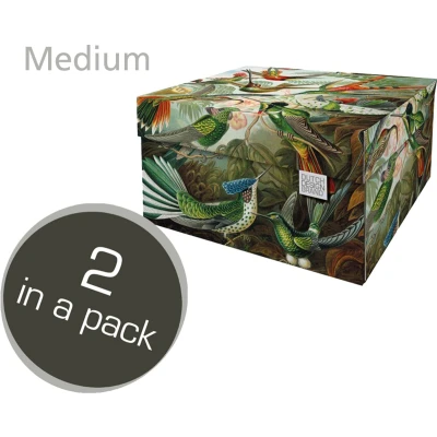 Afbeelding van Dutch Design Brand Opbergbak Storage Box Medium Set Van 2 Karton Art Of Nature Vogels 33,2x24,2x16,5cm
