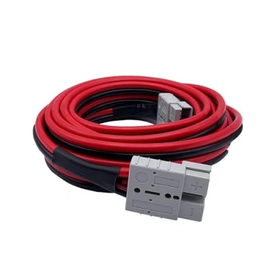 Afbeelding van Anderson verlengkabel voor Offgridtec FSP modules en zonne koffer, 10 m, 6 mm²