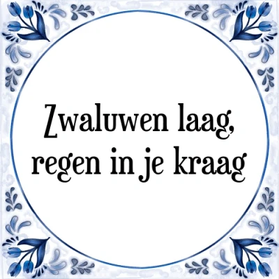 Afbeelding van Zwaluwen laag, regen in je kraag Tegeltje + Spreuk