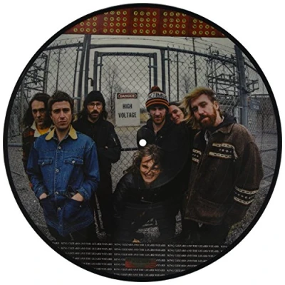 Afbeelding van King Gizzard &amp; The Lizard Wizard Polygondwanaland (LP) (Picture Disc)