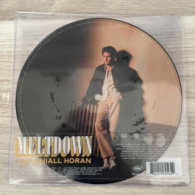 Afbeelding van the Rte Concert Orchestra Niall Horan Meltdown (Single)