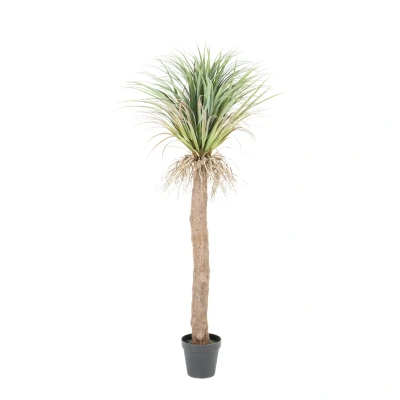 Afbeelding van By Boo Kunstplant Yucca boom Medium