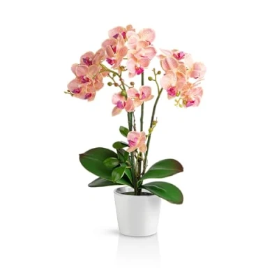 Afbeelding van PASCH® kunstorchideeën in hoogglans keramische potten (50 cm), kunstbloemen pot, als echt, pot (lichtroze)