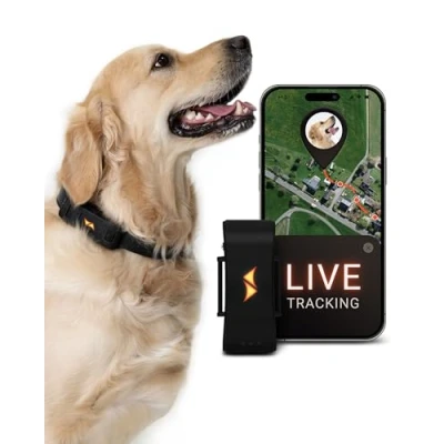 Afbeelding van PAJ GPS tracker voor honden 4G Wegloopalarmen + Wereldwijde live tracking Tot 10 dagen batterijbesparingszone Hond terugroepen Met verlichte LED&#039;s Past op elke halsband Zwart