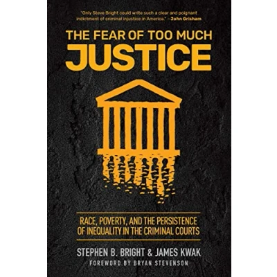 Afbeelding van The Fear of Too Much Justice