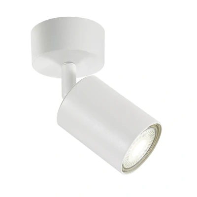 Afbeelding van Integral Plafondspot Siena Mat Wit voor 1x GU10 lamp (niet meegeleverd)