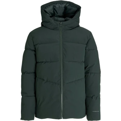 Afbeelding van JACK &amp; JONES JUNIOR gewatteerde jas donkergroen