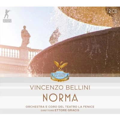 Afbeelding van Orchestra E Coro Del Teatro La Fenice &amp; Ettore Gracis Vincenzo Bellini: Norma (2 CD)