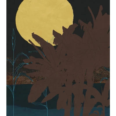 Afbeelding van Komar Vliesbehang Vliestapete Supermoon 250x280 cm (breedte x hoogte)