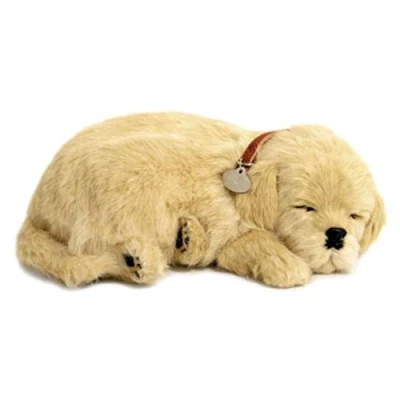 Afbeelding van Perfect Petzzz Golden Retriever