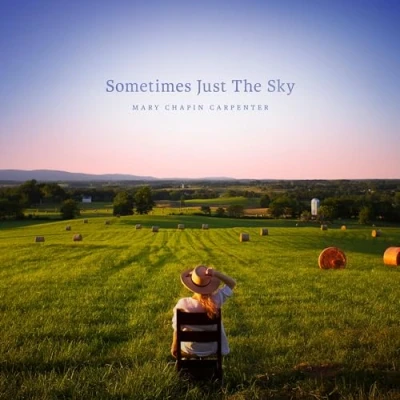 Afbeelding van Mary Chapin Carpenter Sometimes Just the Sky (2 LPs)