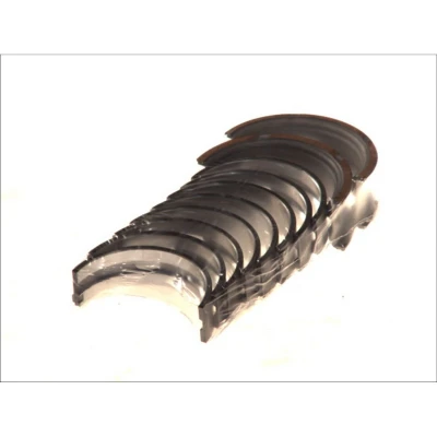 Afbeelding van Krukaslagerset MAHLE 029 HS 18071 000