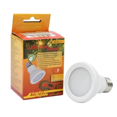Afbeelding van Lucky Reptile LED Sun Flood 6,5 Watt Lamp voor E27 fittingen Terrariumlamp met indrukwekkende lichtopbrengst terraria Terrariumverlichting 1 stuk