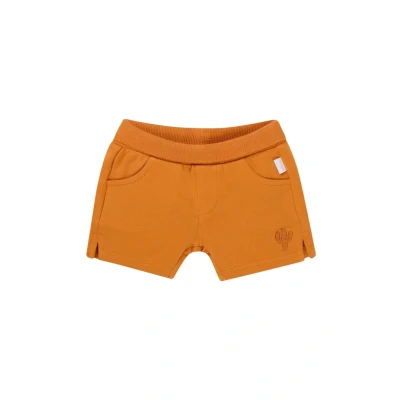 Afbeelding van Noppies Broek Osmar Baby Maat 74