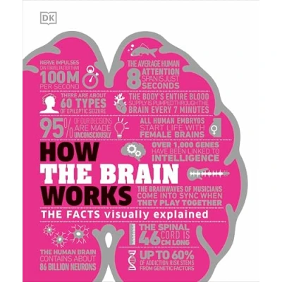 Afbeelding van How The Brain Works: Facts Visually Explained (How Things Work)