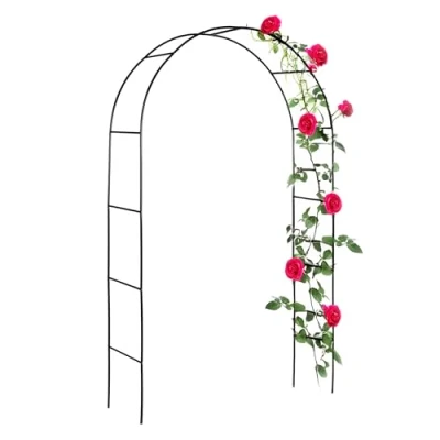 Afbeelding van Metalen rozenboog groen 240 cm poortboog rankrooster tuinboog klimhulp rankframe rond