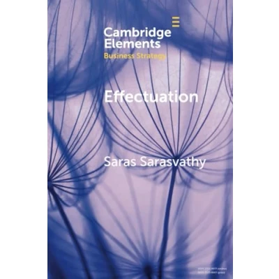 Afbeelding van Effectuation: Rethinking Fundamental Concepts in the Social Sciences